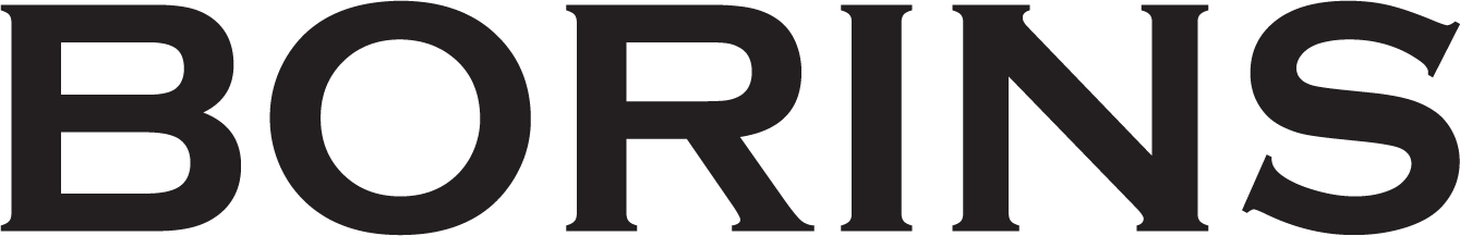 Borins Logotype
